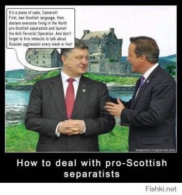 Прикрепленное изображение: 10628355_819593241406608_6172667391746141294_n.jpg